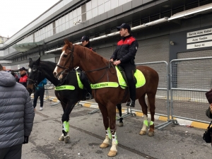Fenerbahçeli Taraftarlardan Rize Maçına Yoğun İlgi