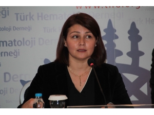 Thd Yönetim Kurulu Araştırma Sekreteri Prof. Dr. Meltem Kurt Yüksel: