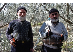Ekmeğini Ağaçlardan Çıkaran 75’lik Dede Gençlere Taş Çıkarıyor