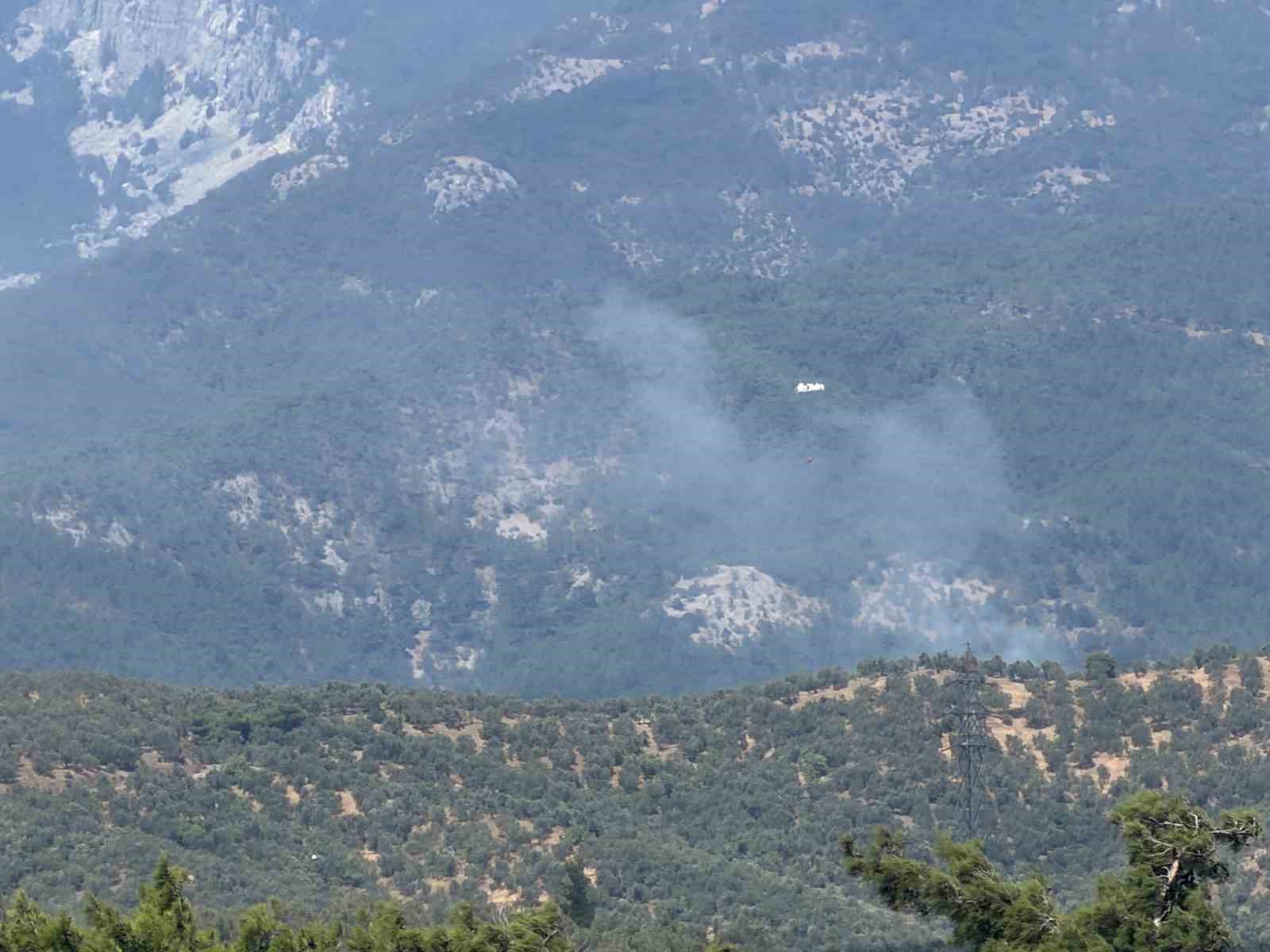zeytinlikte-cikan-yangin-kazdagi-milli-parki-na-sicradi
