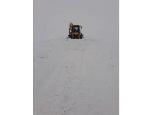 Özalp İlçesinde Kar Tatili