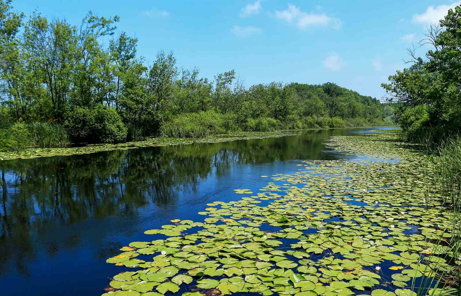 sakarya-nin-yesil-guzelliklerine-550-bin-ziyaretci-ugradi