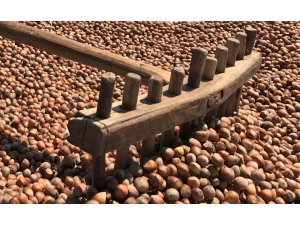 İtalya’dan Fındık Oyunu