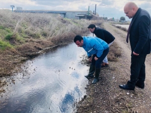 Sivrisinek İle Mücadele Devam Ediyor