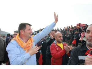 Veli Tuna, Köşk Deve Güreşlerine Katıldı