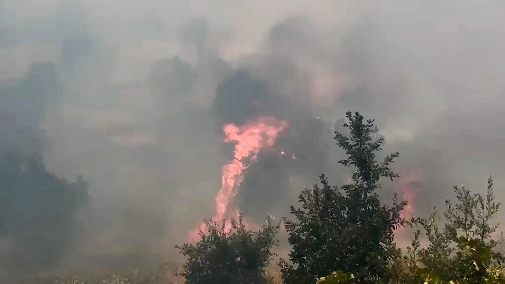 diyarbakir-da-ortu-ve-orman-yangininda-genis-alan-zarar-gordu
