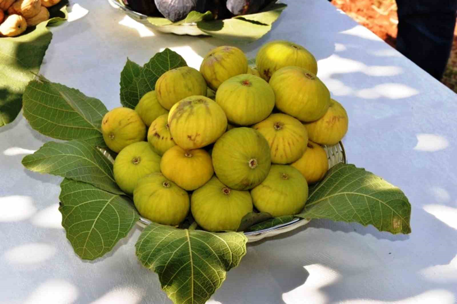 aydin-in-taze-inciri-dunya-pazarlarina-ugurlandi
