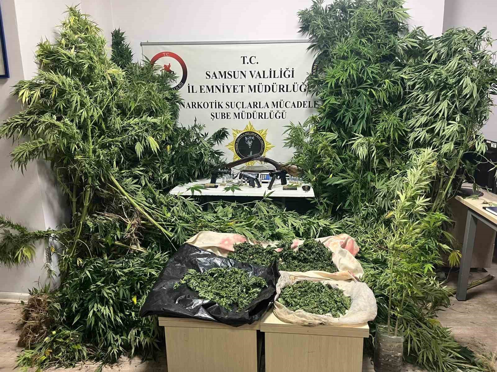 polis-havadan-iz-surdu-tutunlerin-arasinda-502-kok-kenevir-ele-gecti