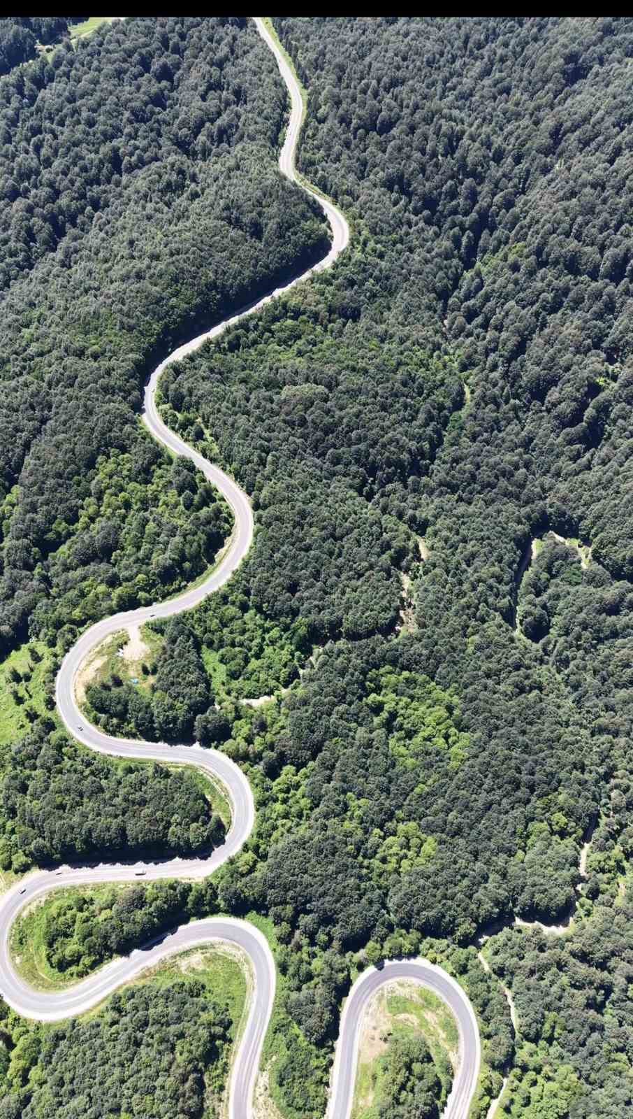 bursa-ormanlarinda-kartpostallik-goruntuler