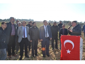 Başkan Şahin: “Ağaç Geleceğe Bırakılan En Güzel Mirastır”