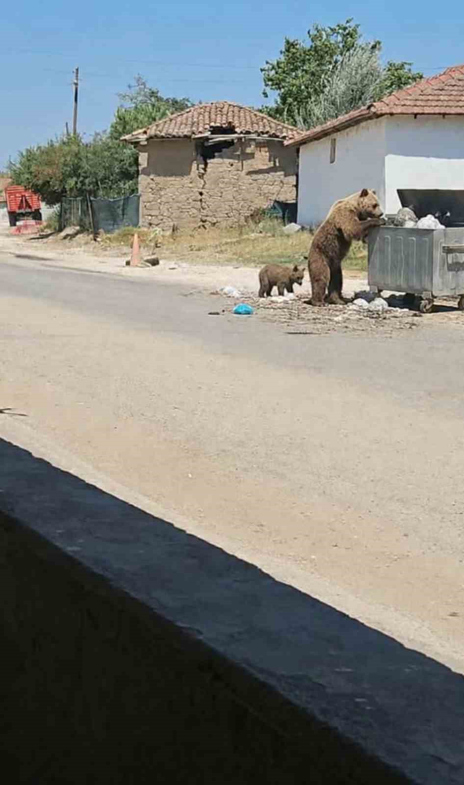bozayi-meric-in-koylerini-geziyor