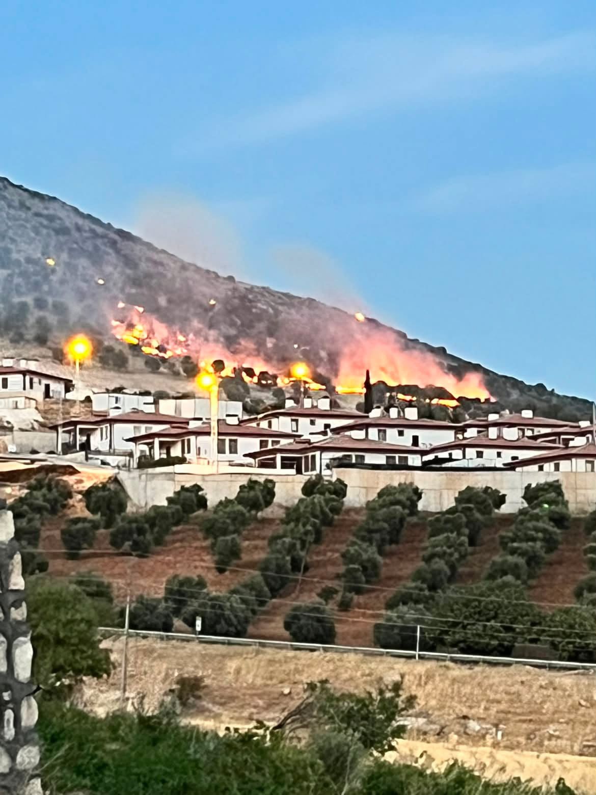 adiyaman-da-ormanlik-alanda-korkutan-yangin