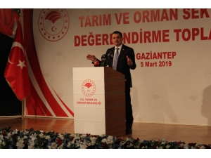 Bakan Pakdemirli: “2-3 Yıl İçinde Kırmızı Eti İhraç Edecek Duruma Geleceğiz”