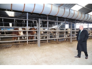 Karkas Etin Sınıflandırılmasına Ato Üyelerinden Destek