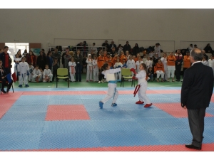 Manyas’ta Karate Şampiyonası Yapıldı