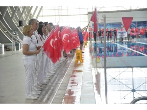 Okullar Arası Yüzme Grup Birinciliği Müsabakaları Tamamlandı