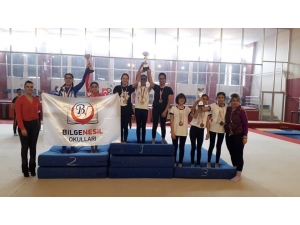 Artistik Jimnastik İl Birinciliği Tamamlandı