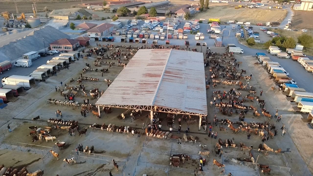 hayvan-fiyatlari-dususte-besiciler-tam-alim-zamani-diyor