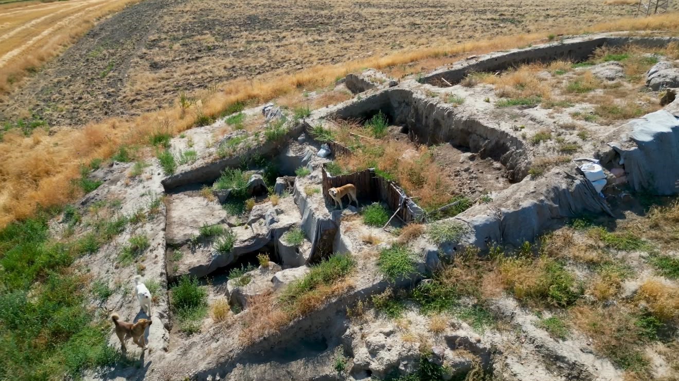 milattan-once-2000-li-yillara-ait-kazi-alani-sokak-kopeklerinin-meskeni-haline-geldi