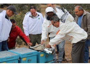 Arıcılar Sertifikalarını Aldı