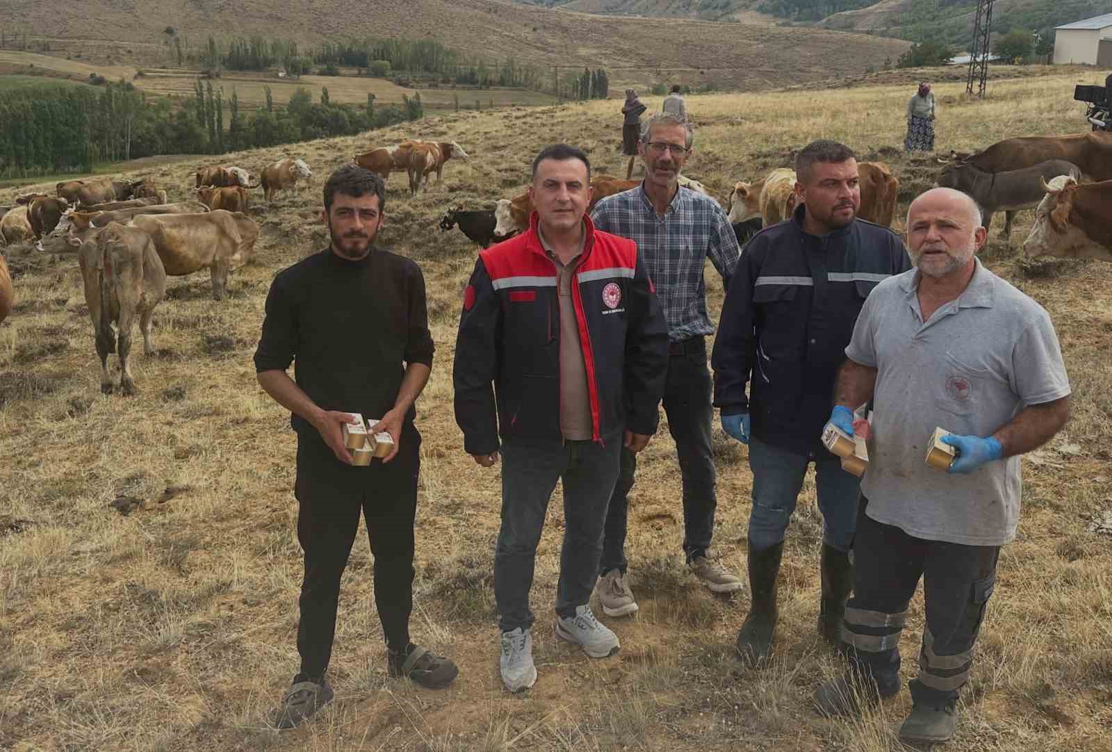 aydintepe-de-hayvan-yetistiricilerine-yonca-zehirlenmesi-uyarisi