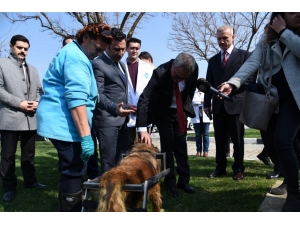 Vali Deniz’den Hayvan Bakım Ve Tedavi Merkezi’ne Tam Not
