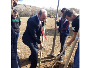 400 Fidan Toprakla Buluştu