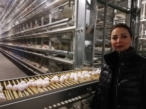 Irak’tan Geldi, Mardin’e 15 Milyon Dolarlık Yatırım Yaptı