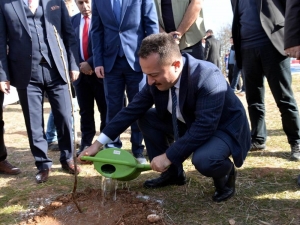 Bilecik’in Köyleri Fidanlarla Renklenecek