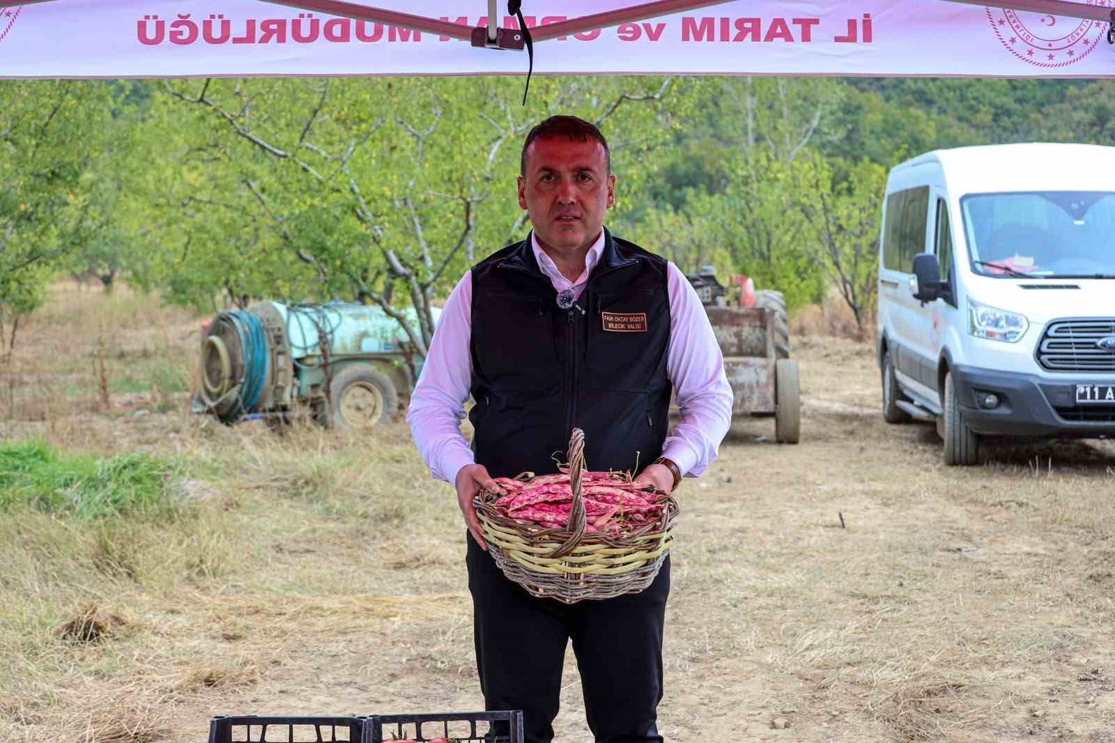 bilecik-te-her-yil-4-bin-500-ton-taze-barbunya-hasadi-yapiliyor