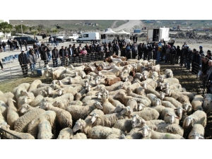İzmir’de Üreticinin Yüzü Gülüyor