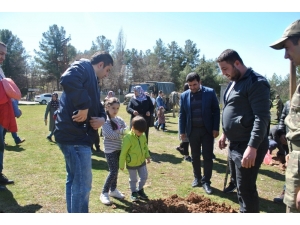 Tema Vakfı Midyat’ta 300 Fidanı Toprakla Buluşturdu