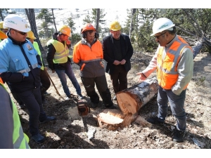 Mihalıççık Ormanlarında Üretim Tatbikatı Yapıldı