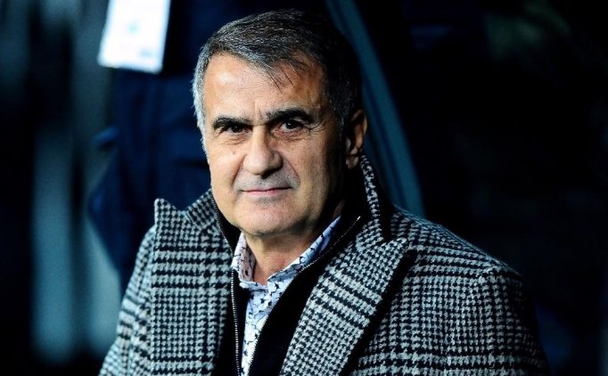 Şenol Güneş'in Tercihi: Roco Değil Necip Uysal