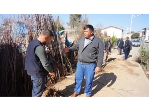 Sarıgöllü Çiftçilerden Fidan Pazarına Yoğun İlgi