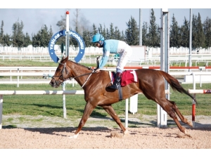 Tsyd Kupası "Hazeleyes"in