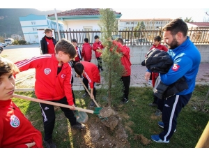 Sporculardan Ağaç Dikimine Destek