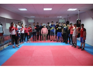 Elazığ’da Milli Antrenörle, Boksta Yeni Yıldızlar Yetişiyor