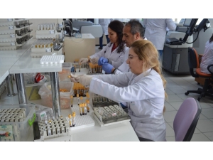 Kayseri Aile Hekimliği Sisteminde Yapılan Laboratuvar Tahlil Sonuçları Türkiye’de İlk Kez Uygulanan Bir Çalışma İle Artık Cepte