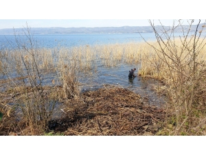 Gölden Bir Kamyon Çöp Çıkarıldı