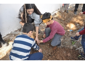 Siirt’te Anaokulu Öğrencileri Dicle Elektrik Bahçesine Fidan Dikti
