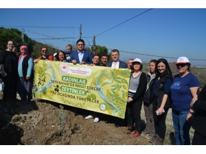 Aliağa’da Su Hasadı Projesi Uygulaması