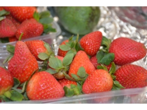 Kilosu 20 Liraya Alıcı Bekliyor