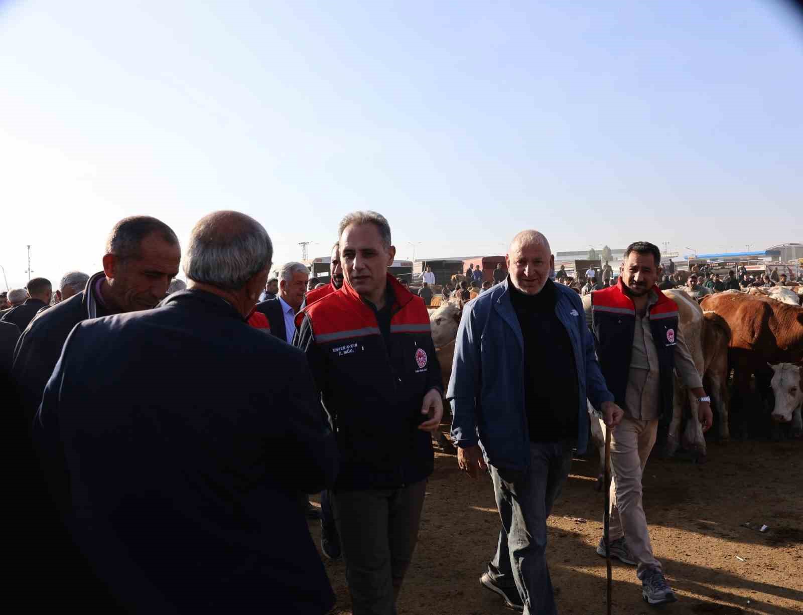 kars-hayvan-pazari-nda-siki-denetim-hayvan-hareketliligine-saglik-ve-guvenlik-filtresi