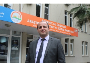 Türkiye’de İlk Kez Yılan Balığından Yapay Yolla Yavru Alındı