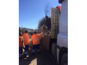 Kilis Belediyesi 10 Bin Fidan Dikecek