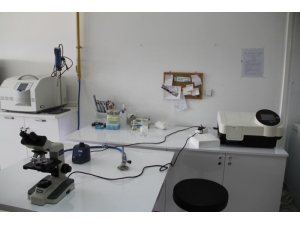 Hitit’in, Moleküler Biyoloji Ve Genetik Doktora Programına Yök’ten Onay