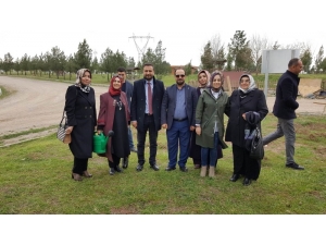 Nasıranlı, Vatandaşlarla Birlikte Fidan Dikti