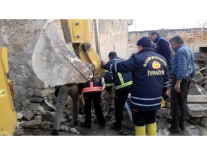 Foseptik Çukuruna Düşen İneği İtfaiye Kurtardı