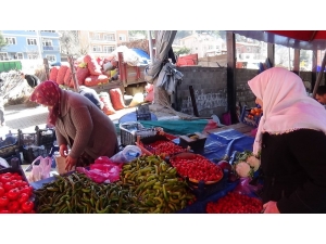 35 Yıldır Yaz Kış Pazarcılık Yapıyor